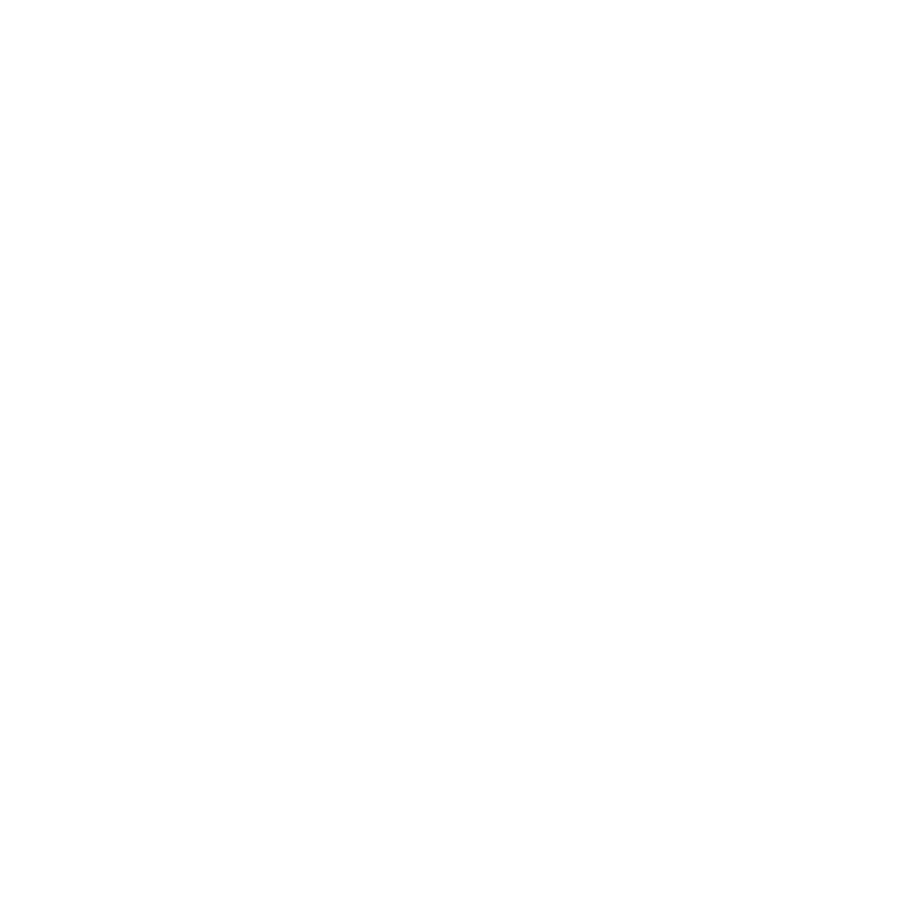 Logo N-Graphiste